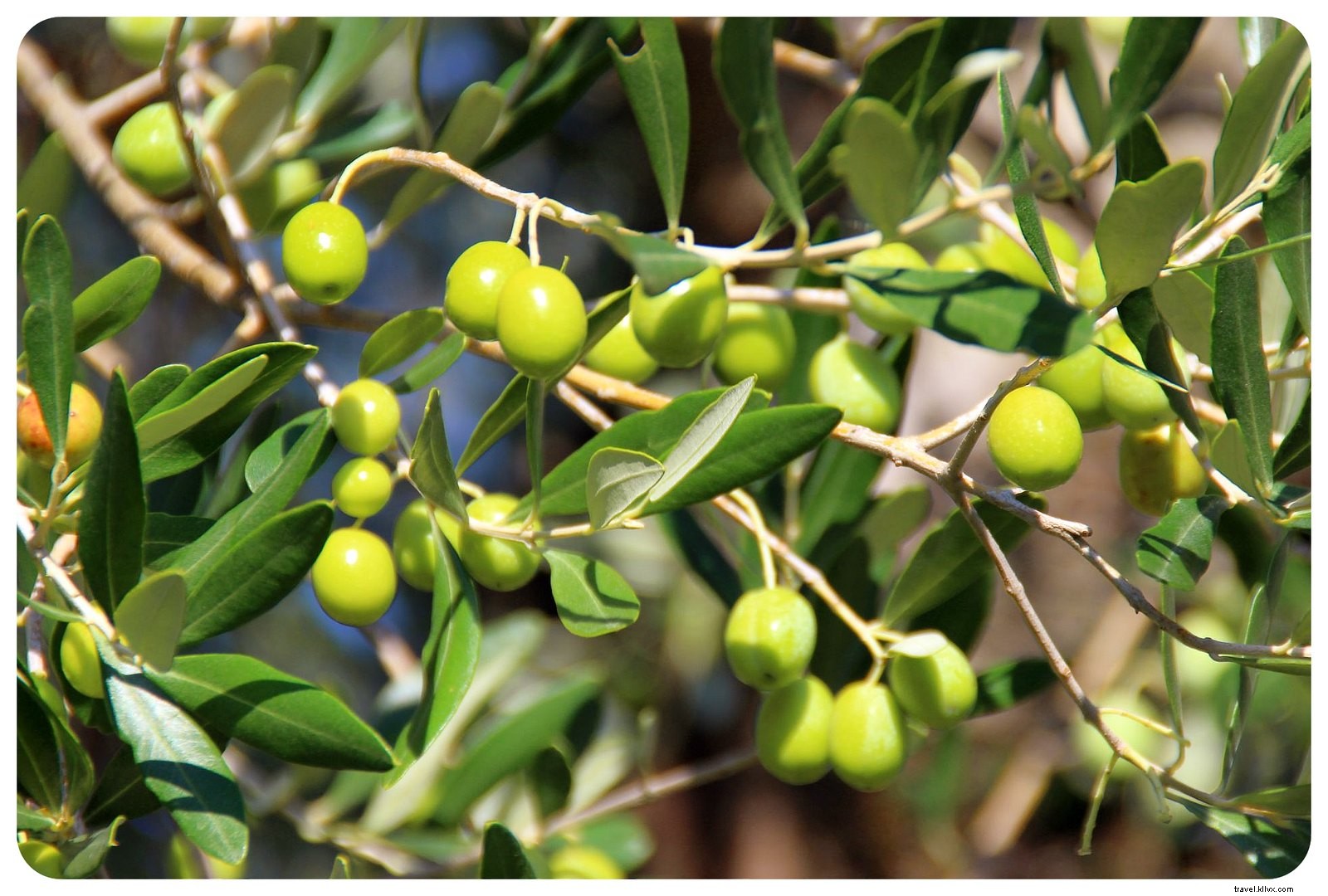 20 Stunning Reasons to Visit Lombardy, Italy: Lakes, History, Milan & More (Photo Guide)