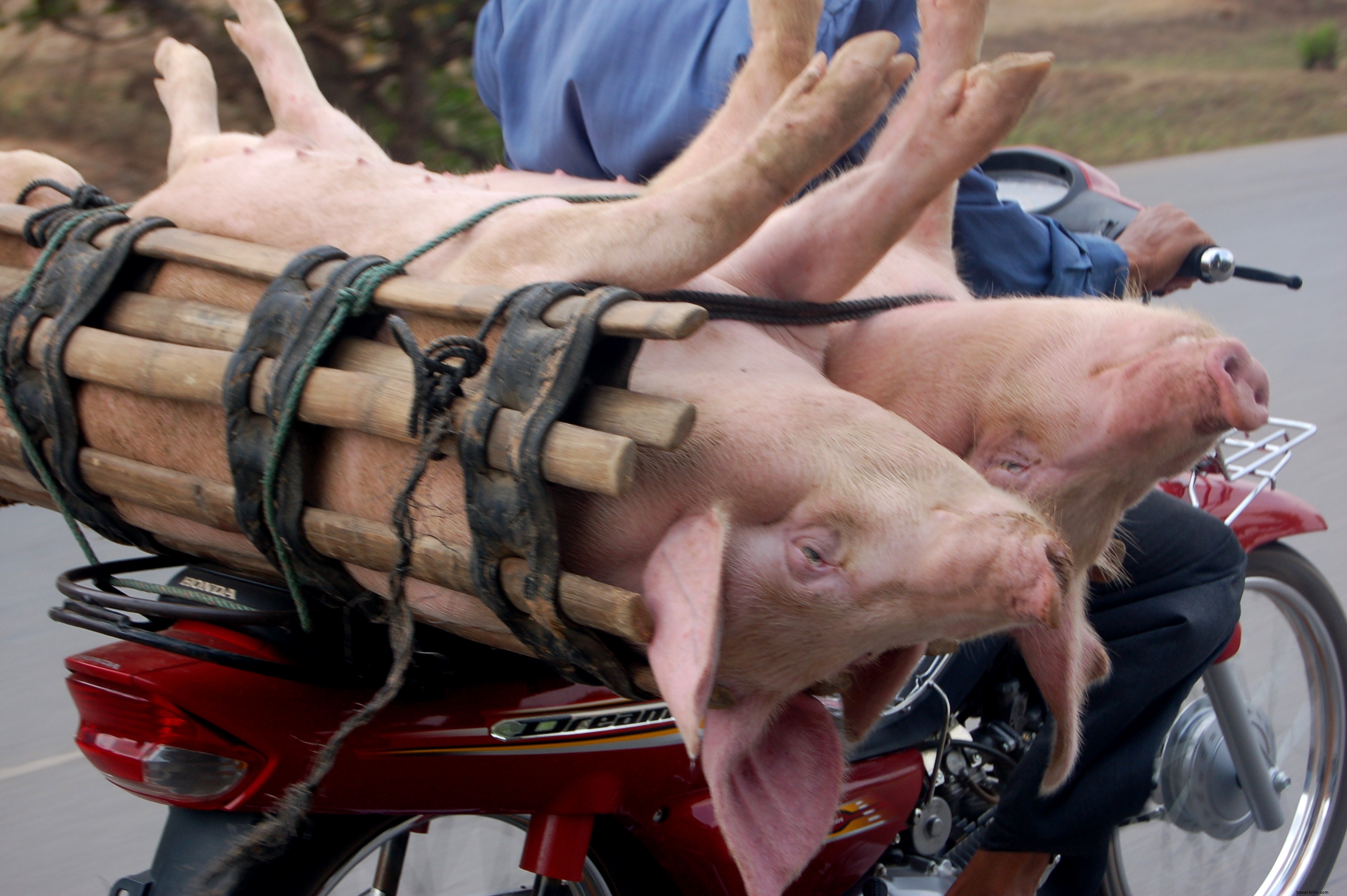 First Impressions of Cambodia: Surprising Fun Facts and Traveler Observations