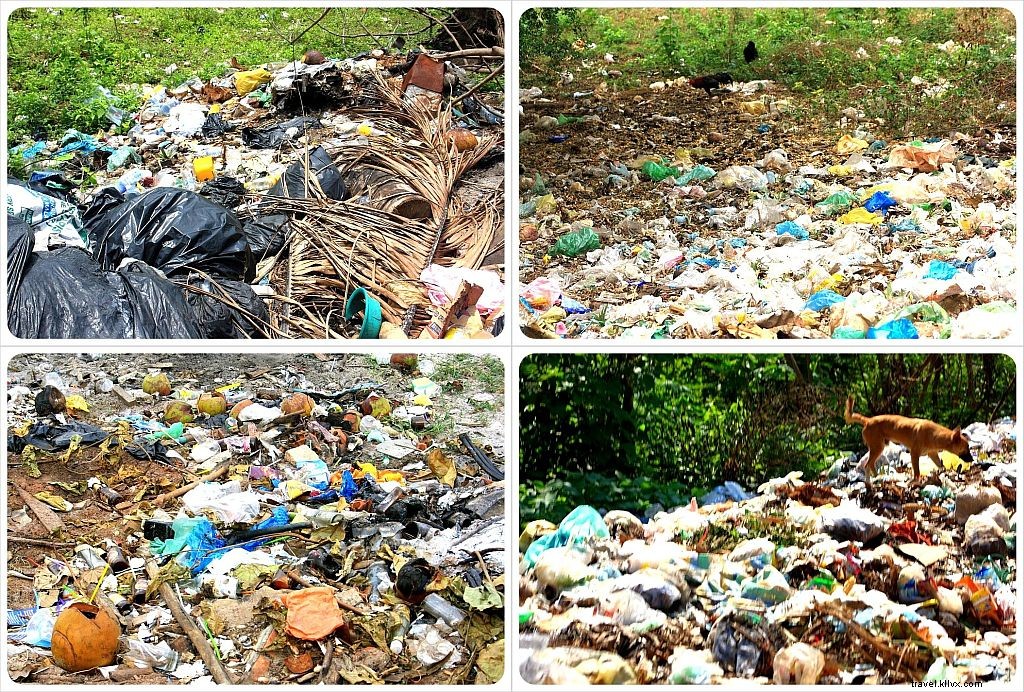 First Impressions of Cambodia: Surprising Fun Facts and Traveler Observations