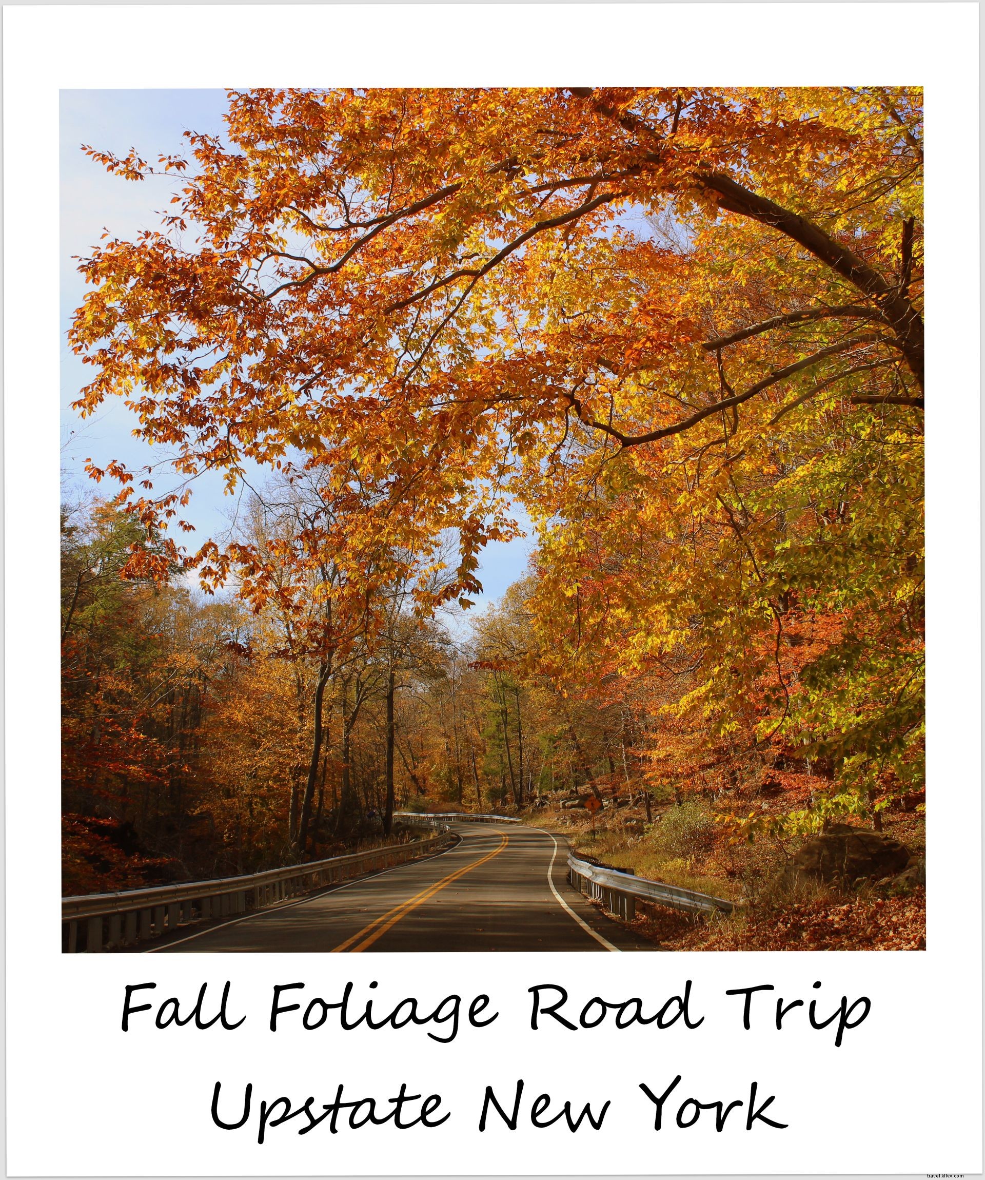 Polaroid of the Week: Breathtaking Leaf-Peeping Road Trip to Upstate New York s Bear Mountain