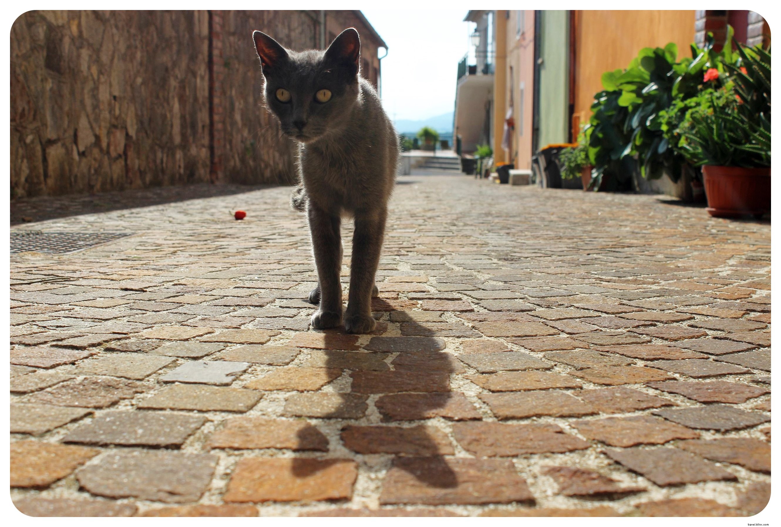 Exploring the Ancient Via Amerina: Pilgrim Trail Highlights from Assisi, Part 1