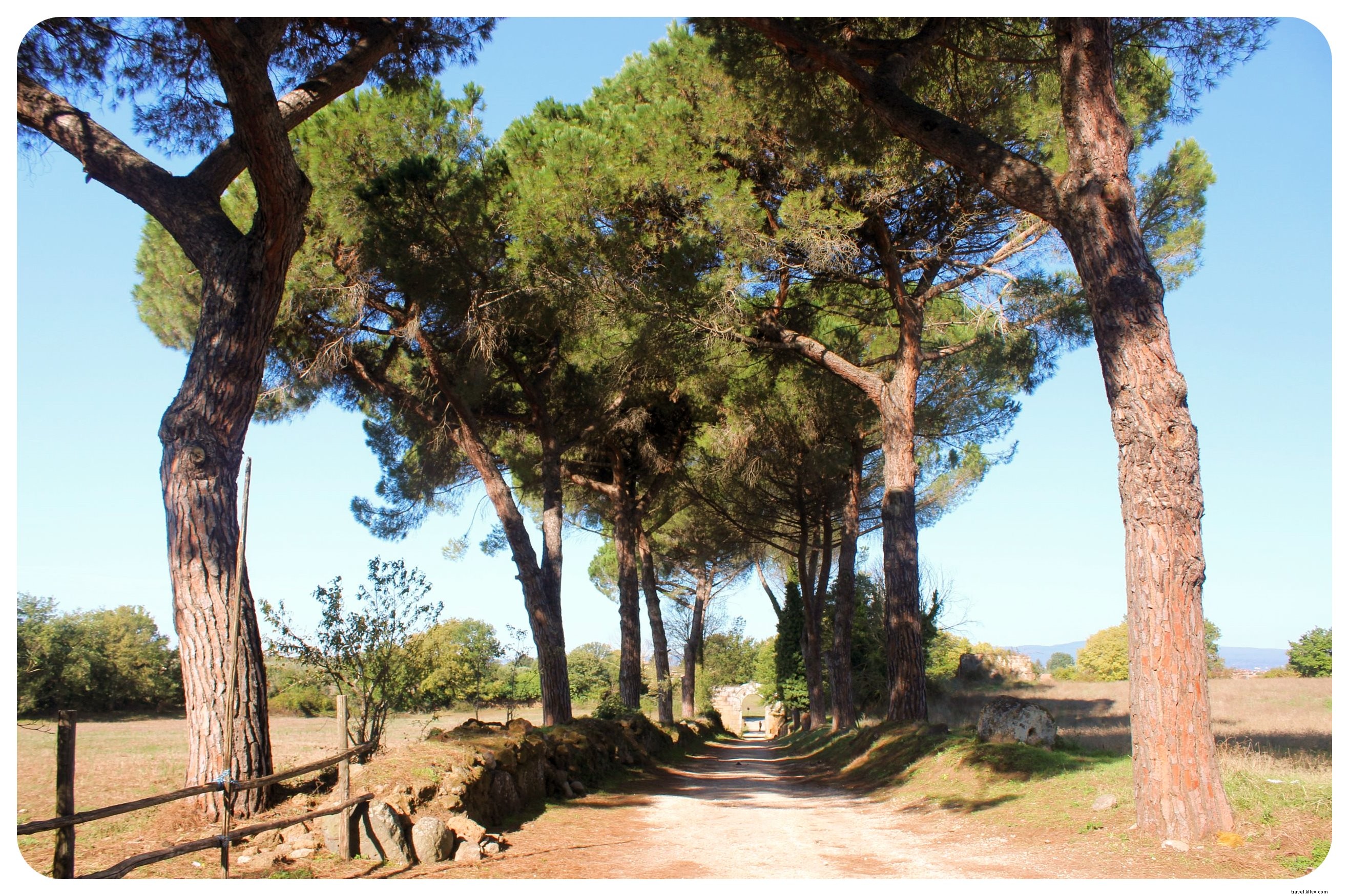 Via Amerina Hike: Part II Highlights – Ancient Paths, Medieval Villages, and Arrival in Rome