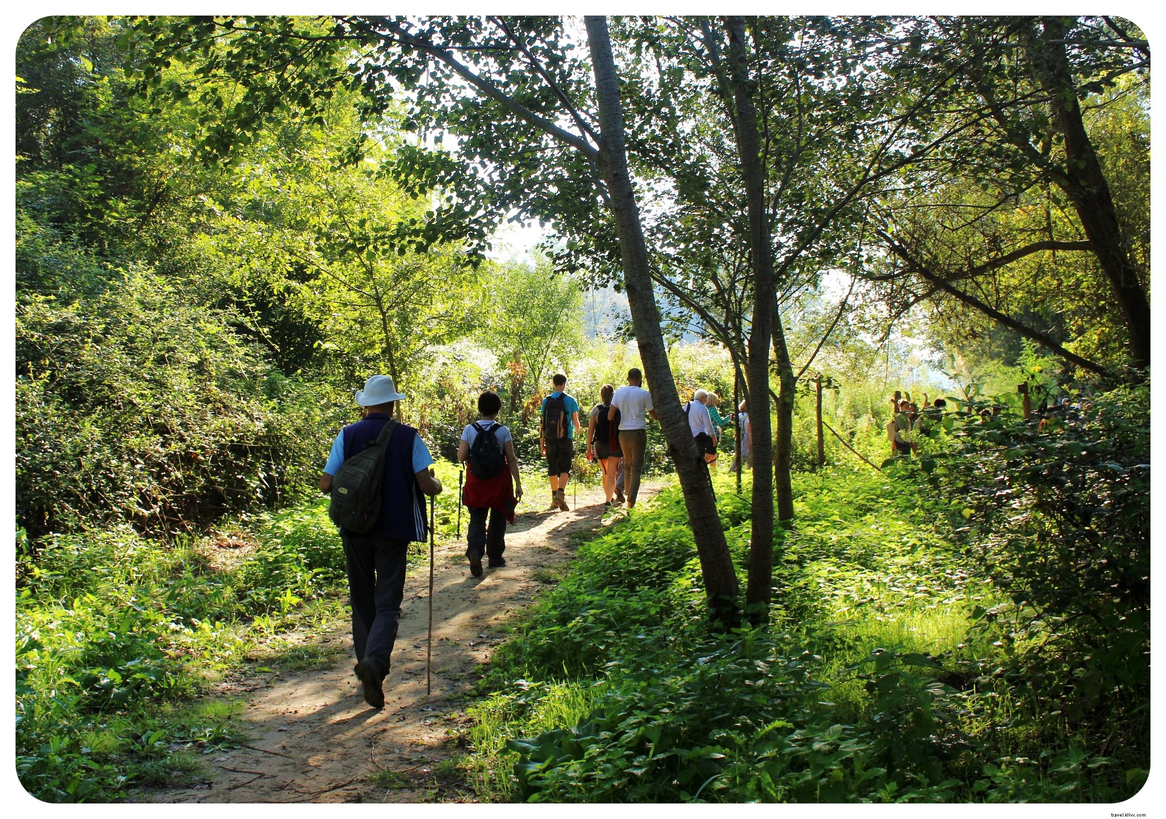 Via Amerina Hike: Part II Highlights – Ancient Paths, Medieval Villages, and Arrival in Rome