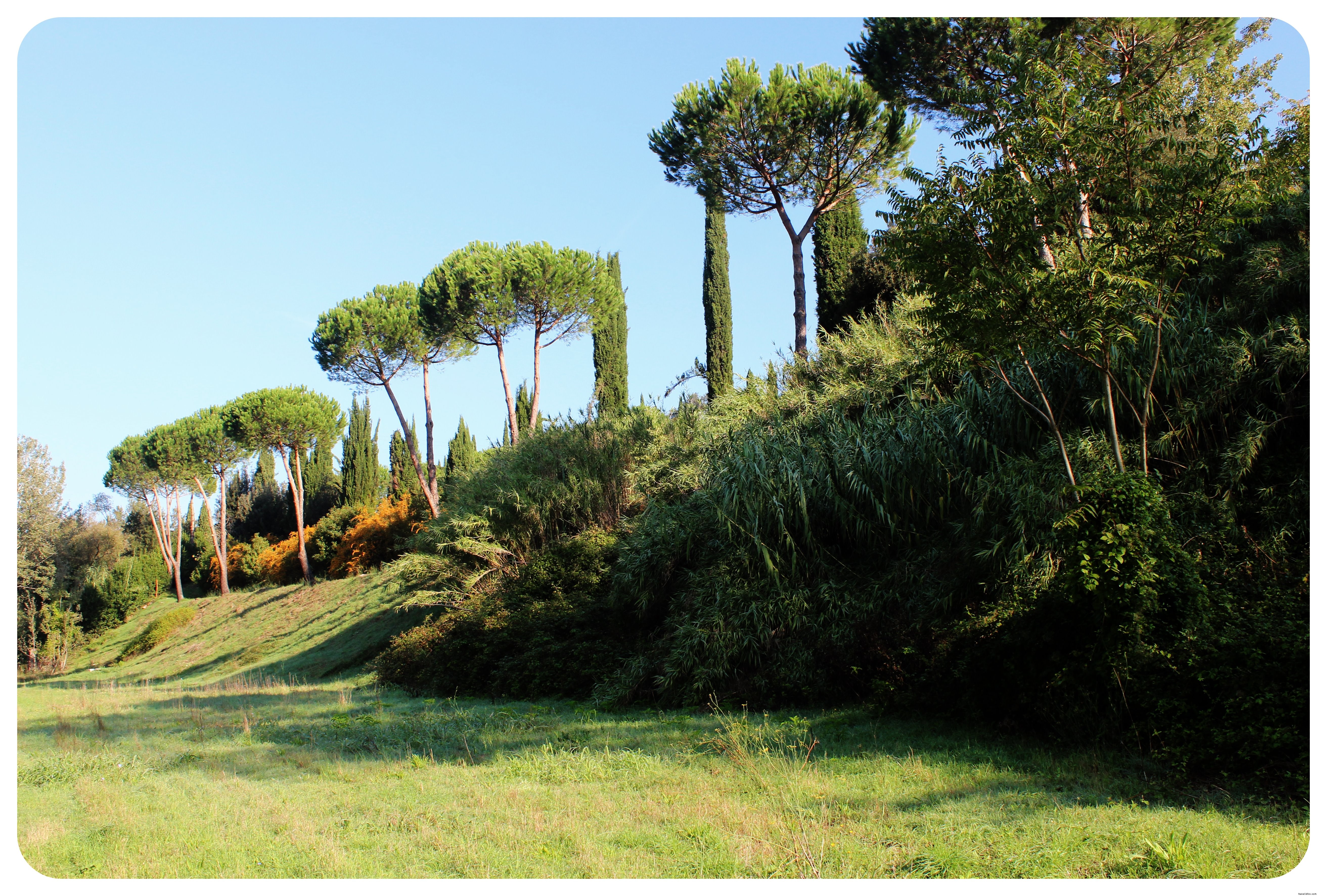 Via Amerina Hike: Part II Highlights – Ancient Paths, Medieval Villages, and Arrival in Rome