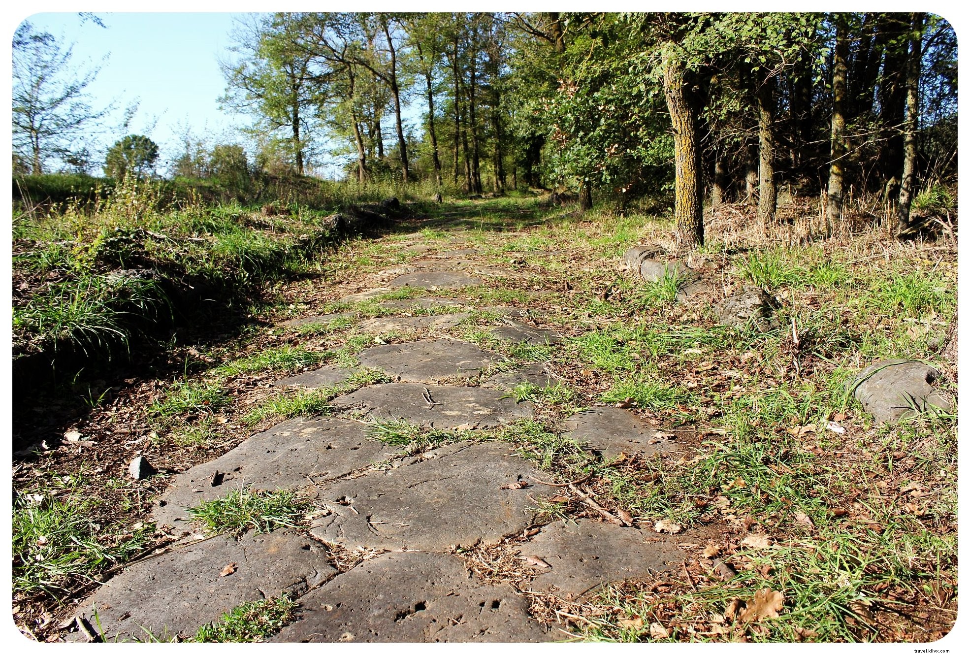 Via Amerina Hike: Part II Highlights – Ancient Paths, Medieval Villages, and Arrival in Rome