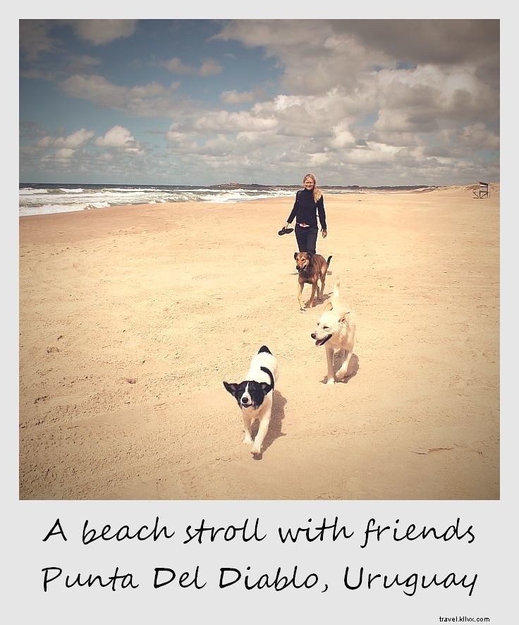 Polaroid of the Week: Serene Beach Strolls with Friendly Hostel Dogs in Punta del Diablo, Uruguay