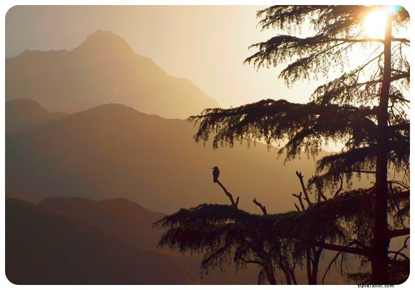 Why Solo Female Travelers Should Still Explore India: A Transformative Personal Journey