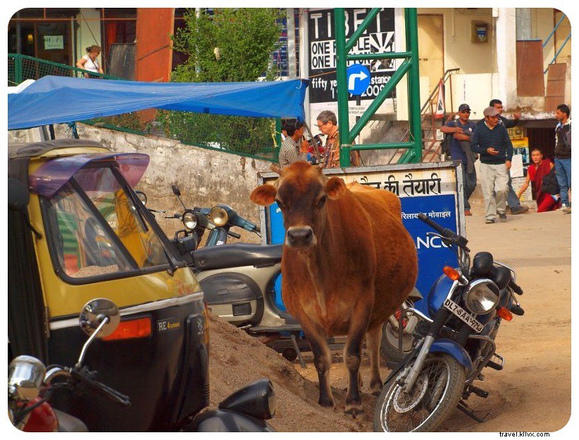 Why Solo Female Travelers Should Still Explore India: A Transformative Personal Journey