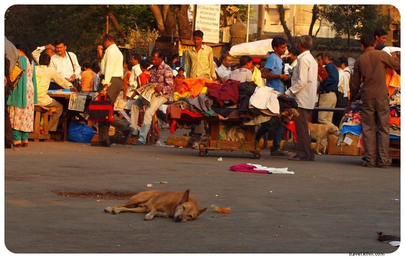 Why Solo Female Travelers Should Still Explore India: A Transformative Personal Journey