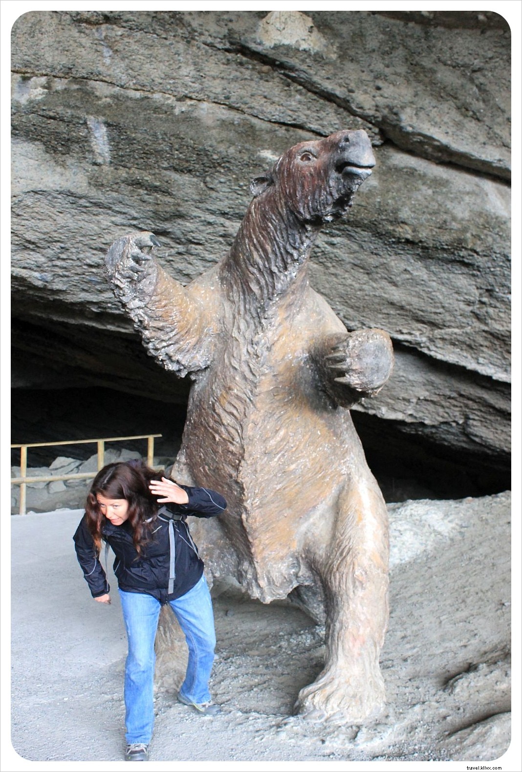 Torres del Paine Day Tour: Discover Patagonia s Icons Without the Multi-Day Trek