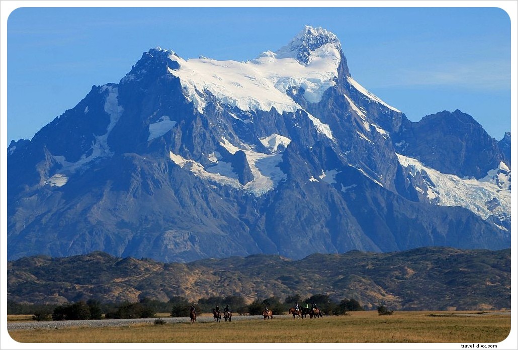 Torres del Paine Day Tour: Discover Patagonia s Icons Without the Multi-Day Trek