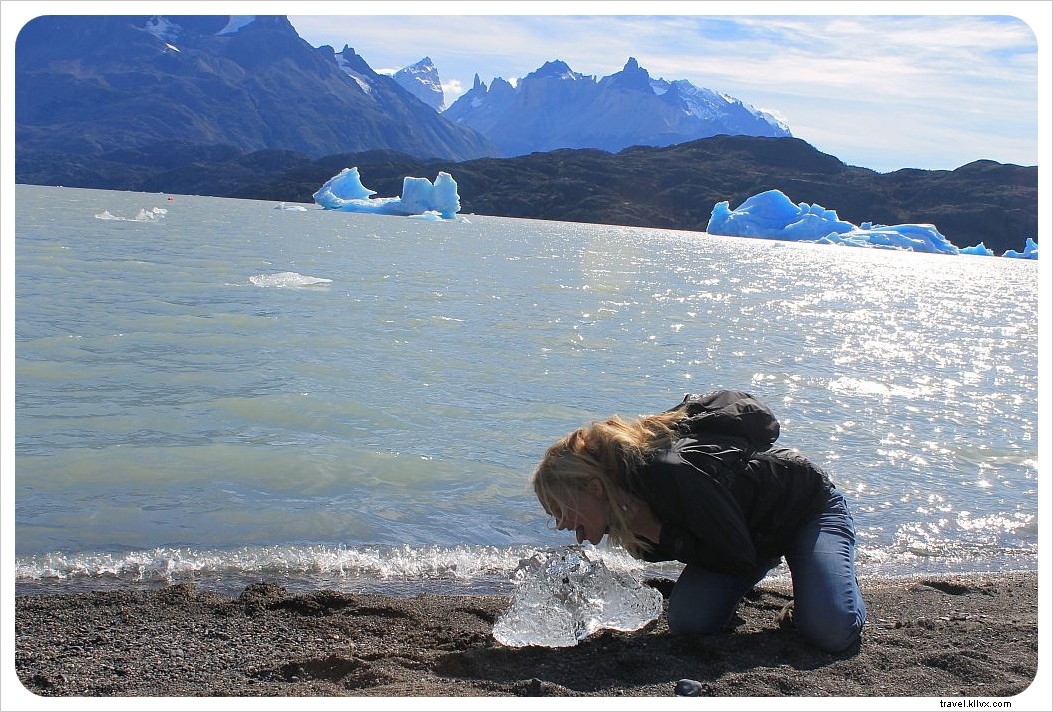 Torres del Paine Day Tour: Discover Patagonia s Icons Without the Multi-Day Trek