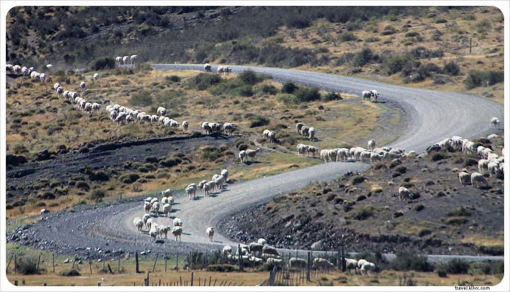 Torres del Paine Day Tour: Discover Patagonia s Icons Without the Multi-Day Trek