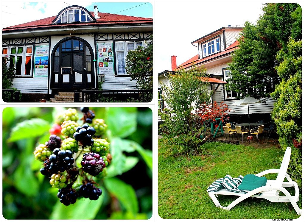 MaPatagonia Hostel: Premier Adult-Friendly Stay in Puerto Varas, Chile – Hotel Tip of the Week