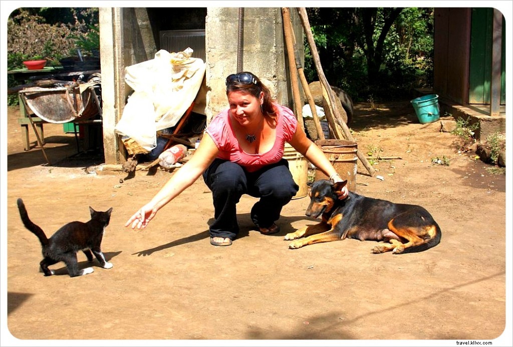 Cooking Indio Viejo: An Authentic Nicaraguan Culinary Adventure in León