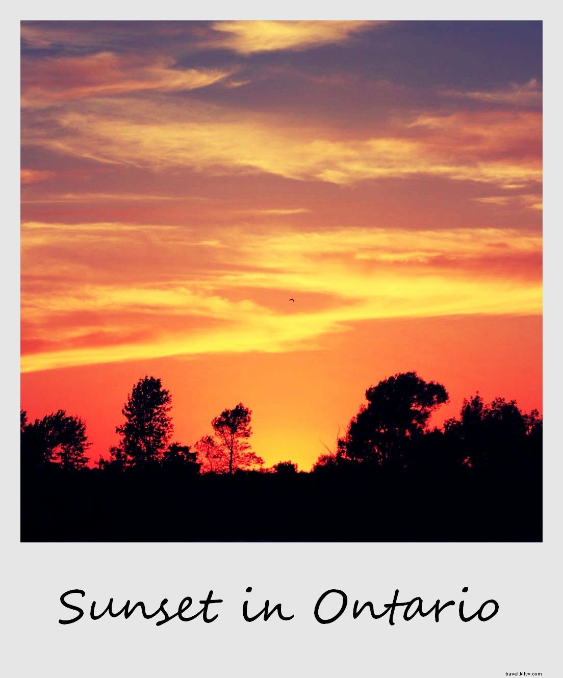 Polaroid of the Week: Ontario s Captivating Sunset Cinema