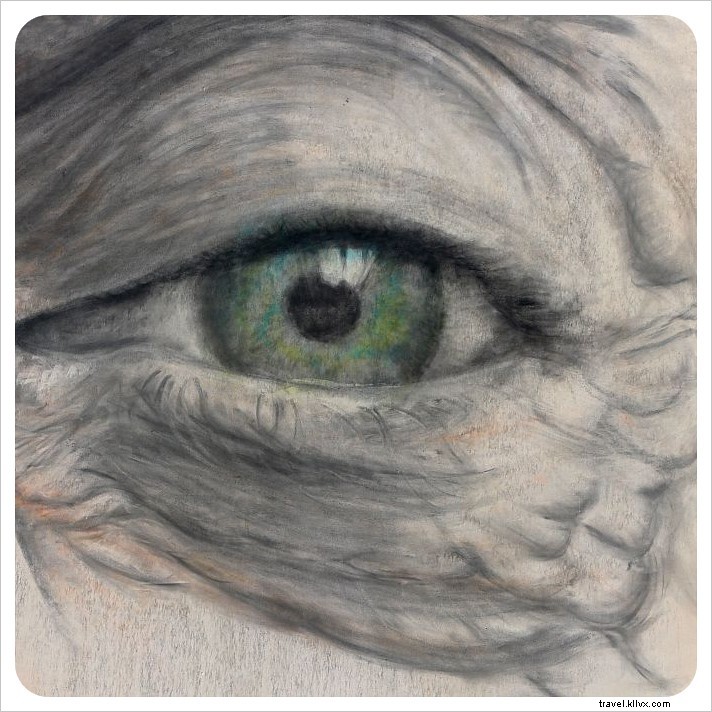 Discover Buenos Aires Street Art: Insider Graffitimundo Tour Experience