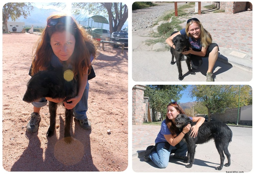 Why Cafayate is Argentina s Most Underrated Wine Destination