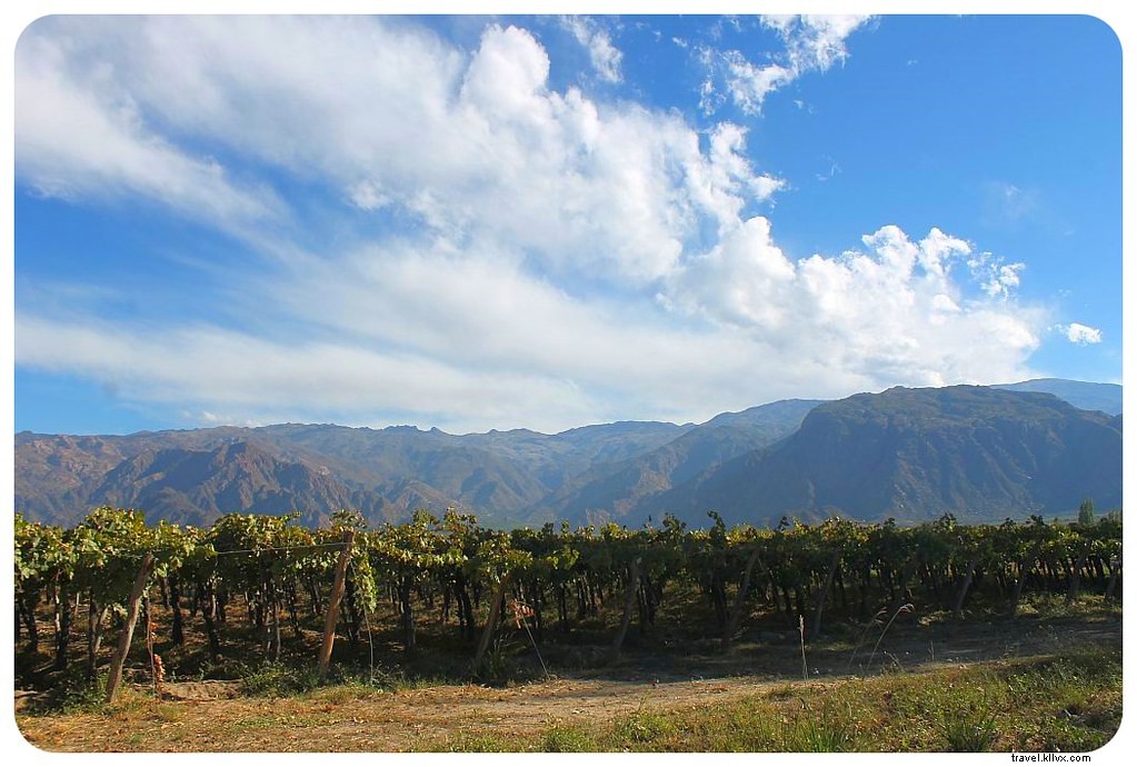 Why Cafayate is Argentina s Most Underrated Wine Destination