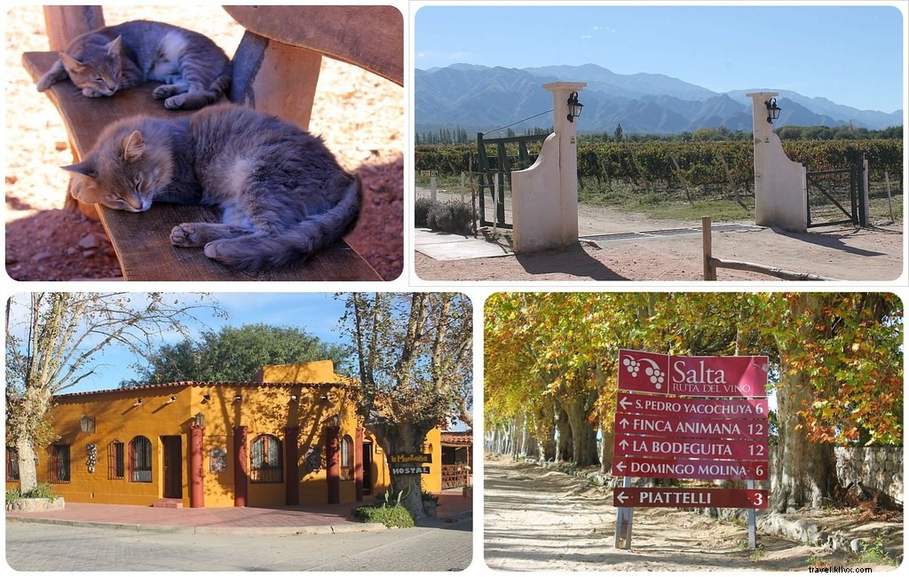 Why Cafayate is Argentina s Most Underrated Wine Destination