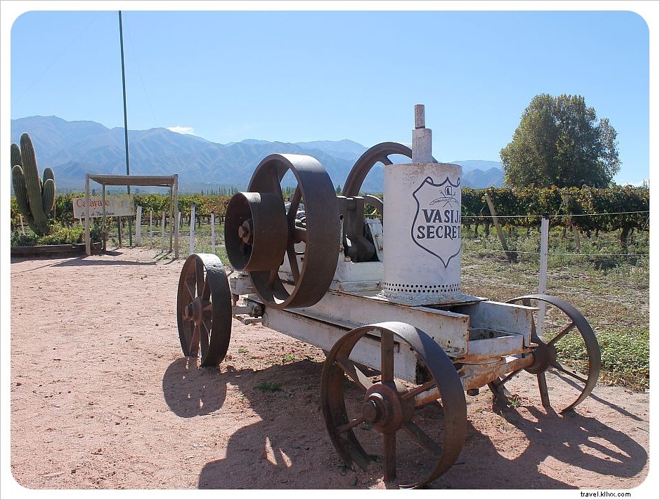 Why Cafayate is Argentina s Most Underrated Wine Destination
