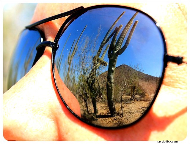Captivating Photo Essay: Majestic Saguaros of Southern Arizona s Sonoran Desert