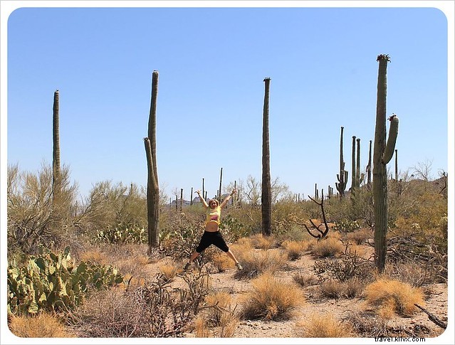 Captivating Photo Essay: Majestic Saguaros of Southern Arizona s Sonoran Desert