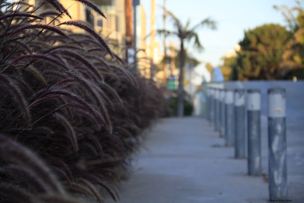 Unique Offbeat Attractions: Unusual Things to Do in Los Angeles