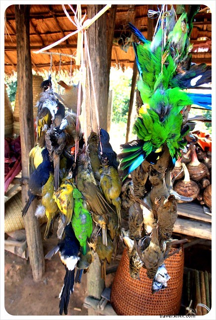 Bumpy Roads and Village Stops: Our Authentic Two-Day Bus Journey from Muang Sing to Nong Khiaw, Laos