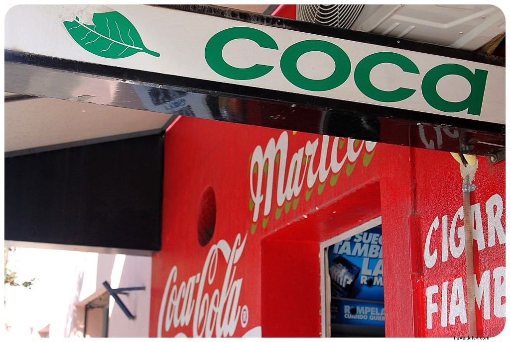 Salta, Argentina: Colonial Charm Meets Unmet Expectations – An Honest Traveler s Review