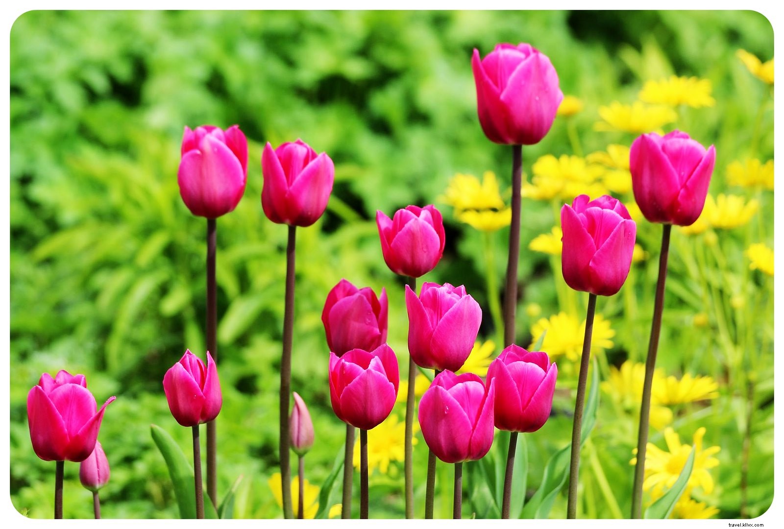 9 Surprising Fun Facts About Copenhagen: Discover Denmark s Vibrant Capital