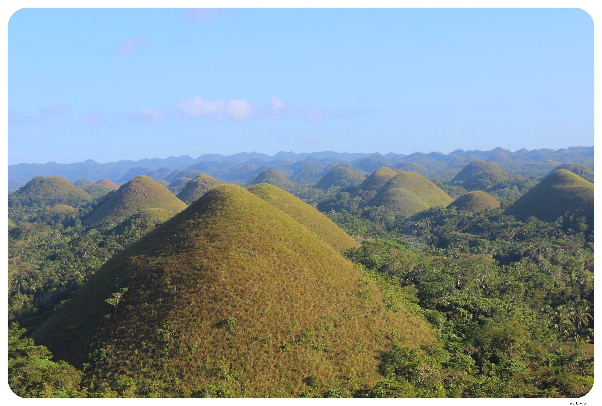 Discover Adorable Tarsiers and Iconic Chocolate Hills in Bohol, Philippines