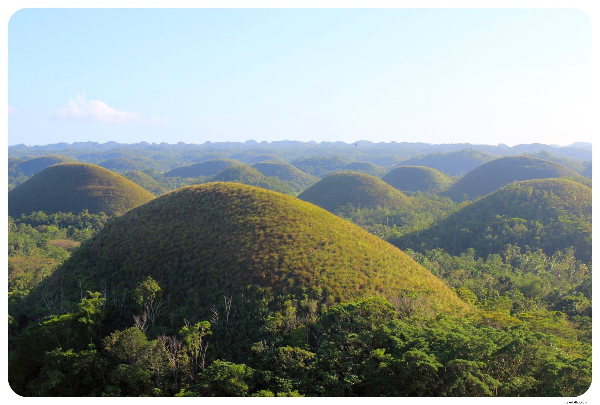 Discover Adorable Tarsiers and Iconic Chocolate Hills in Bohol, Philippines