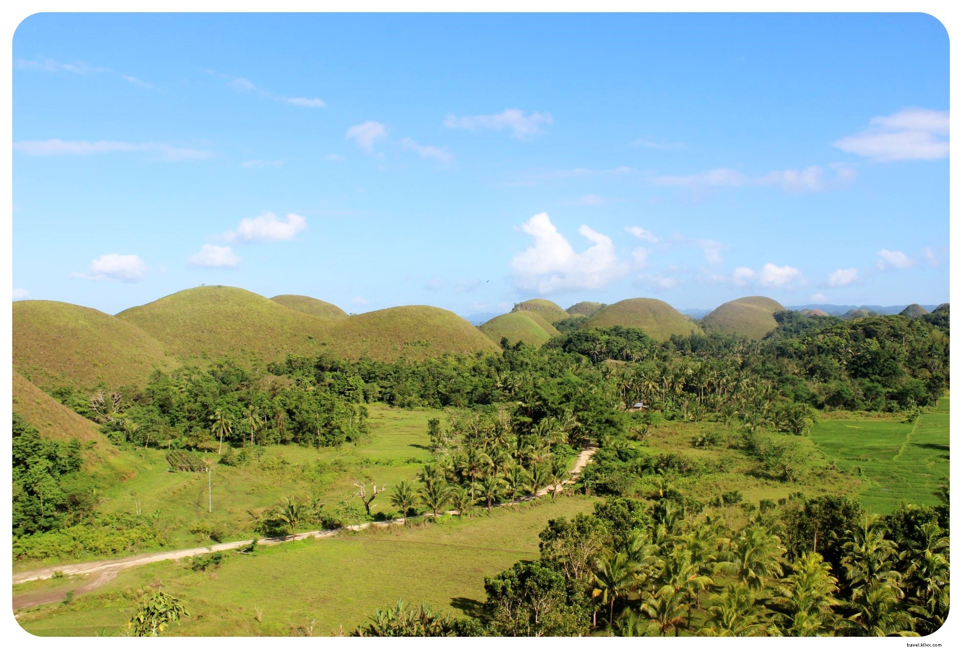 Discover Adorable Tarsiers and Iconic Chocolate Hills in Bohol, Philippines