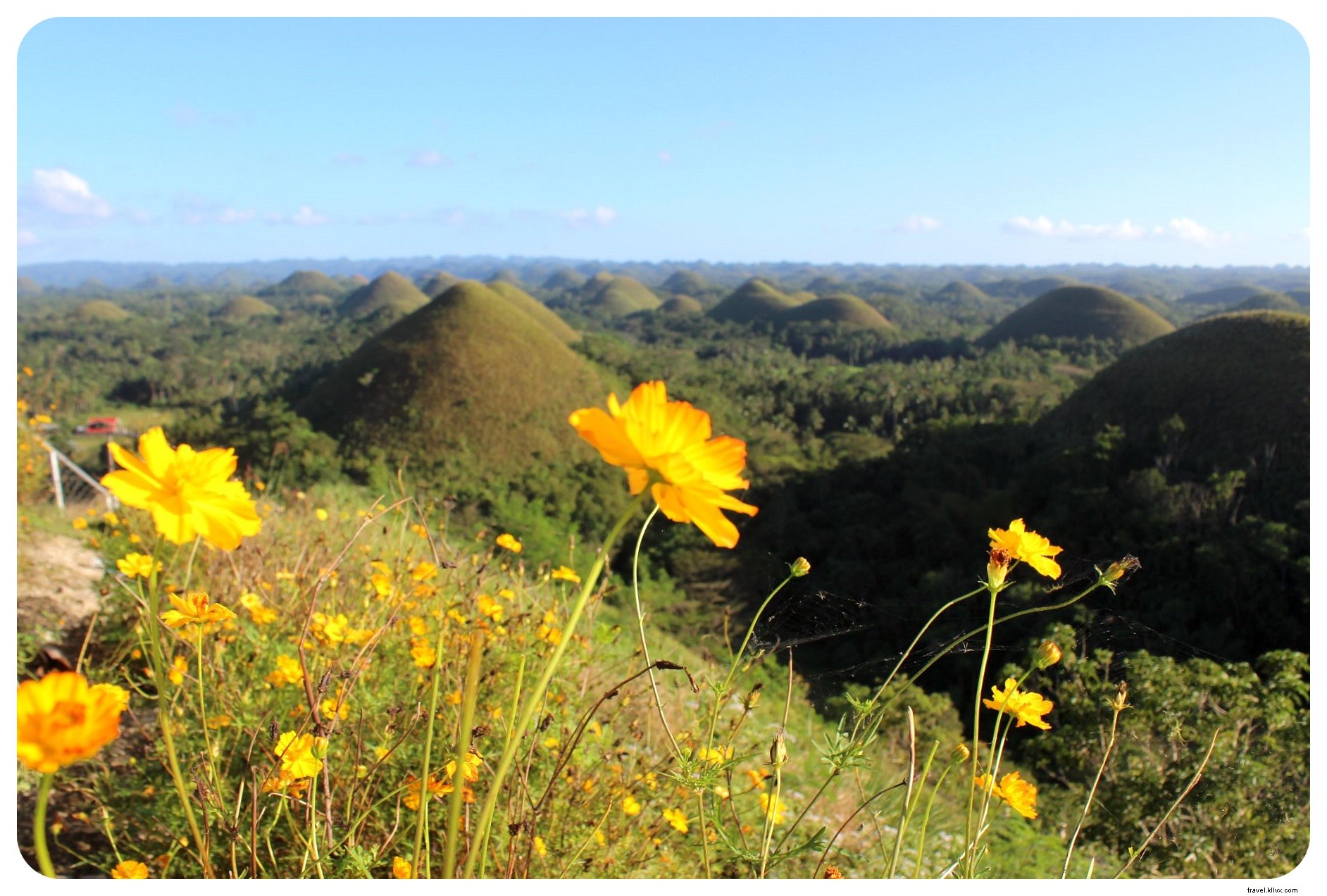 Discover Adorable Tarsiers and Iconic Chocolate Hills in Bohol, Philippines