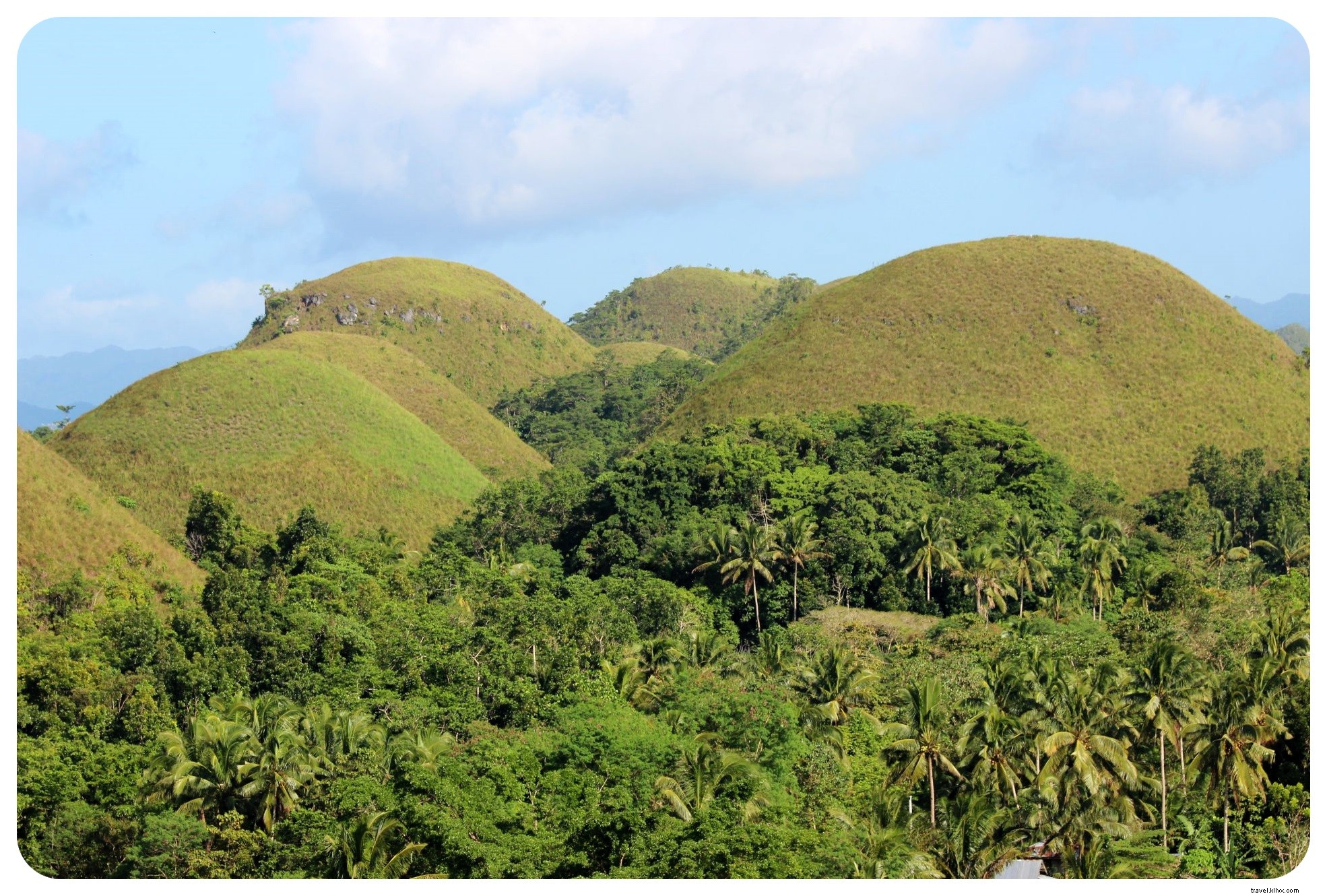 Discover Adorable Tarsiers and Iconic Chocolate Hills in Bohol, Philippines