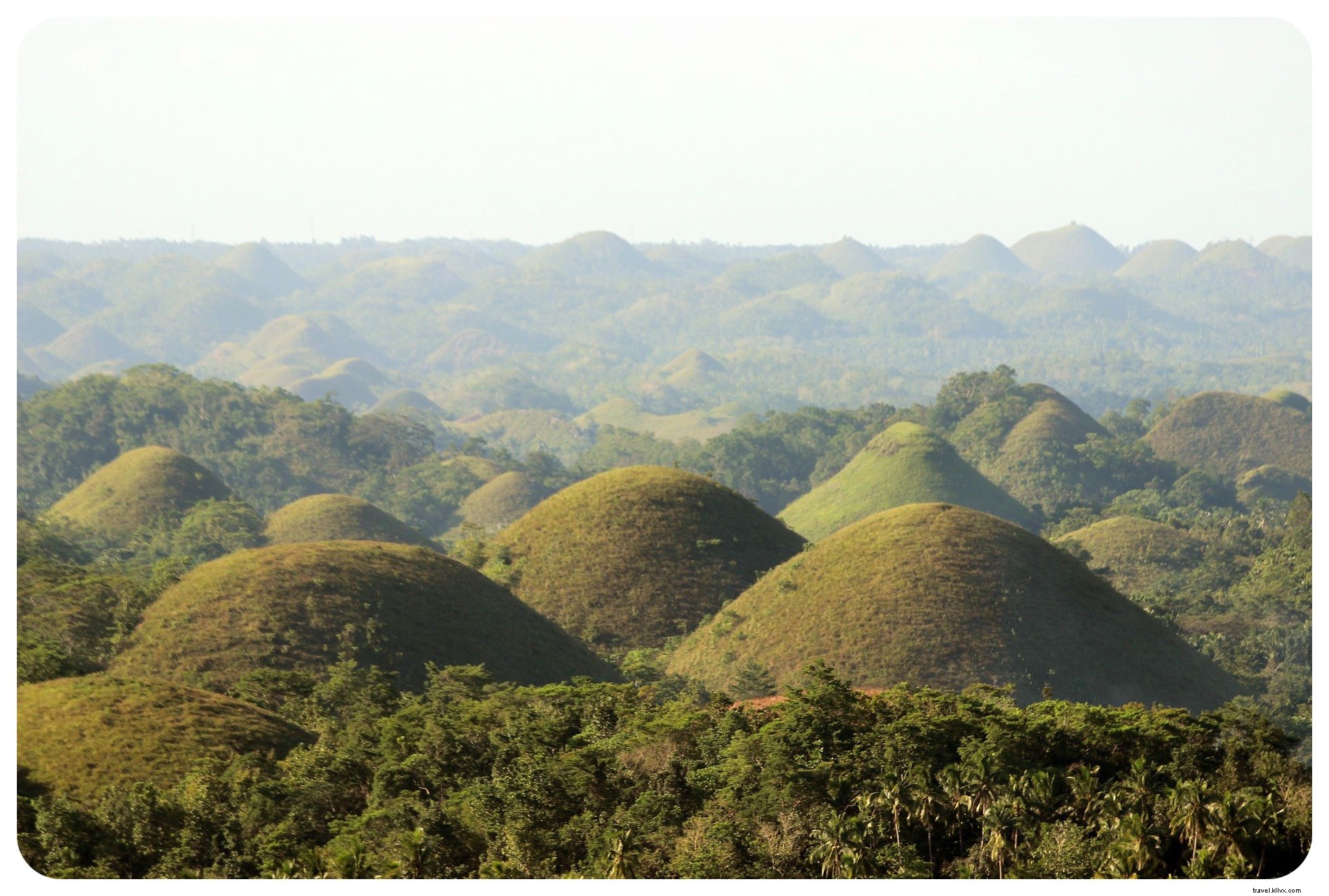 Discover Adorable Tarsiers and Iconic Chocolate Hills in Bohol, Philippines
