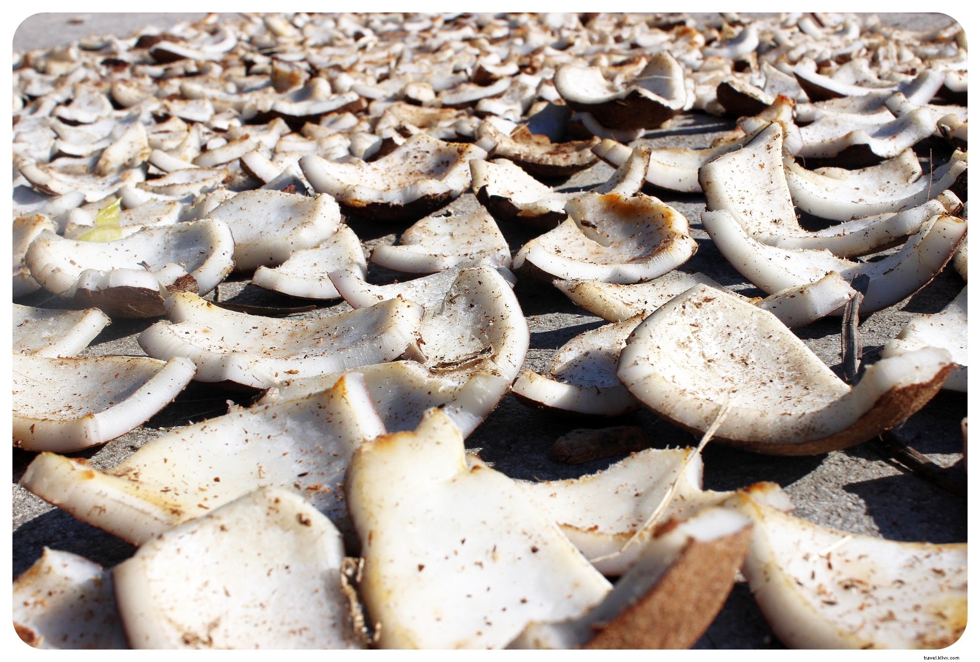 Discover the Mystical Charms of Siquijor: A Hidden Philippine Paradise