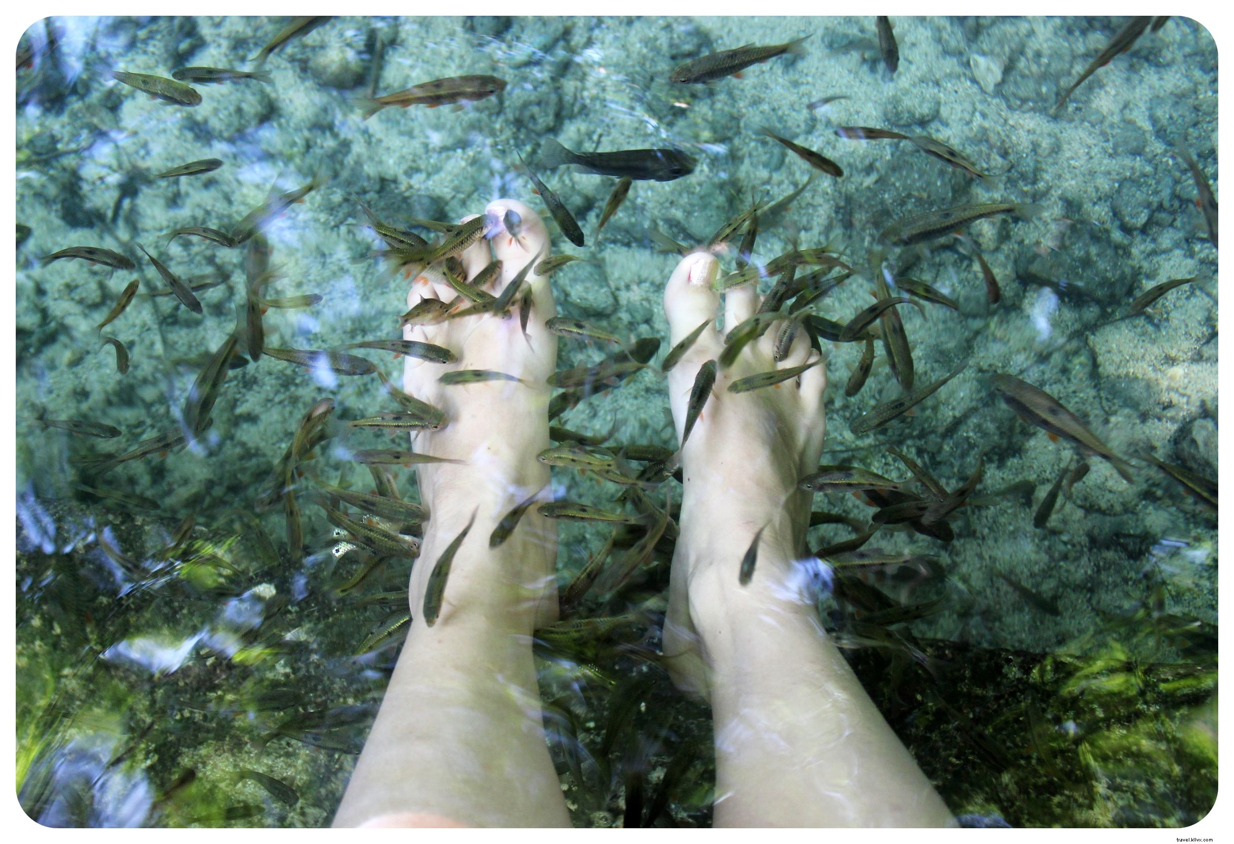 Discover the Mystical Charms of Siquijor: A Hidden Philippine Paradise