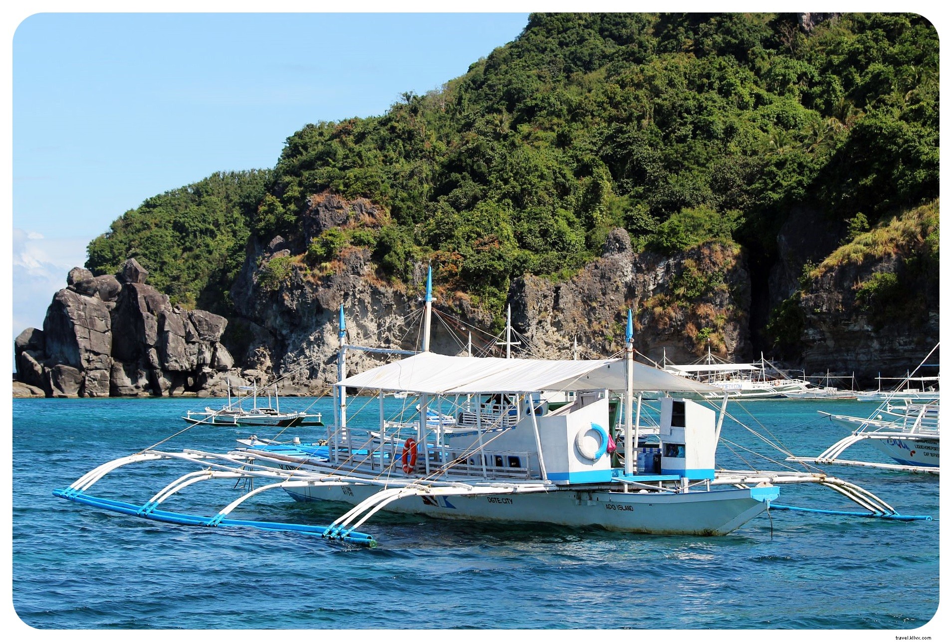 Snorkeling with Sea Turtles in Apo Island: An Unforgettable Day Trip from Dumaguete