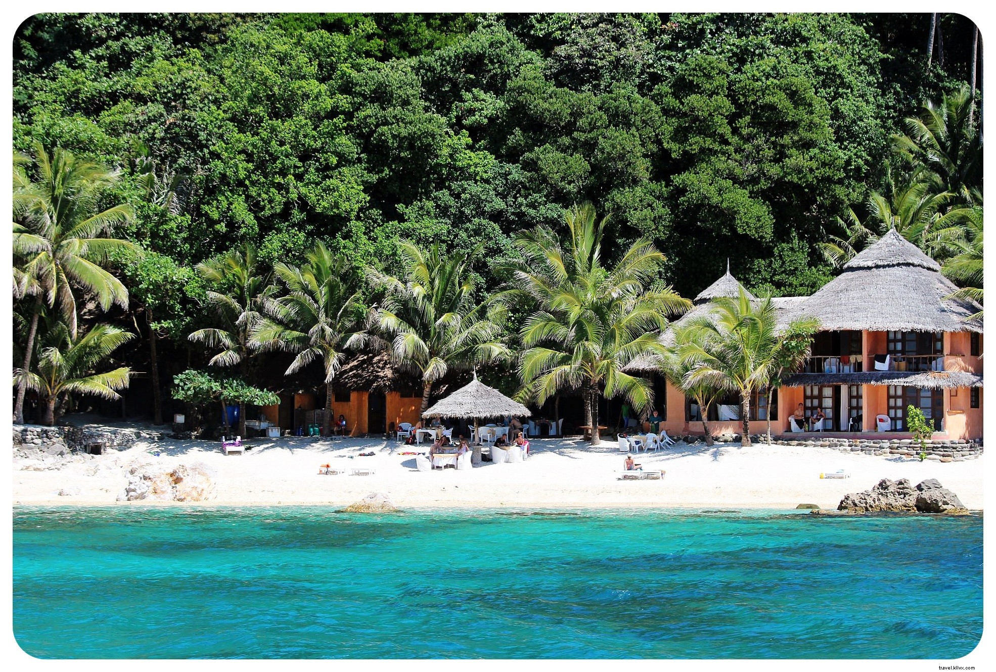 Snorkeling with Sea Turtles in Apo Island: An Unforgettable Day Trip from Dumaguete