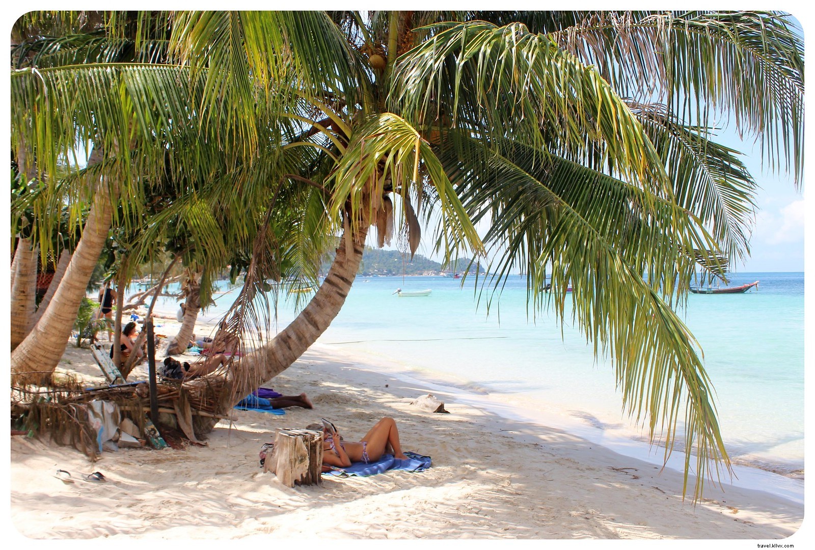 Koh Tao Guide: Pristine Beaches, World-Class Snorkeling & Diving Paradise