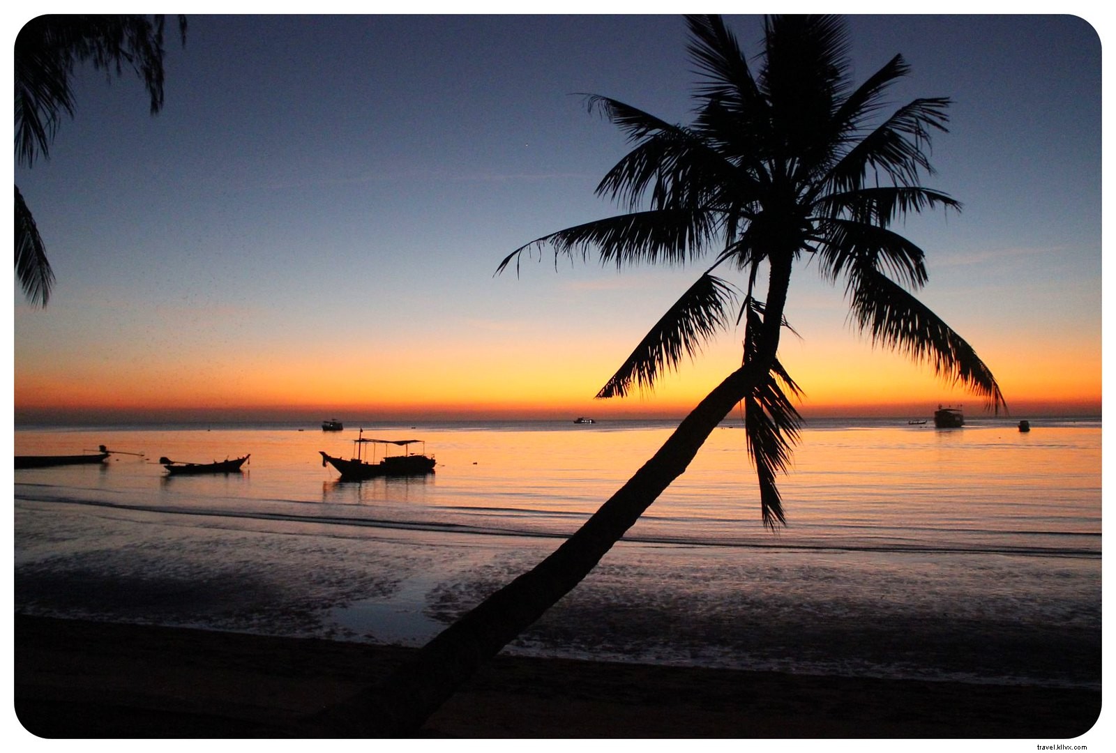 Koh Tao Guide: Pristine Beaches, World-Class Snorkeling & Diving Paradise