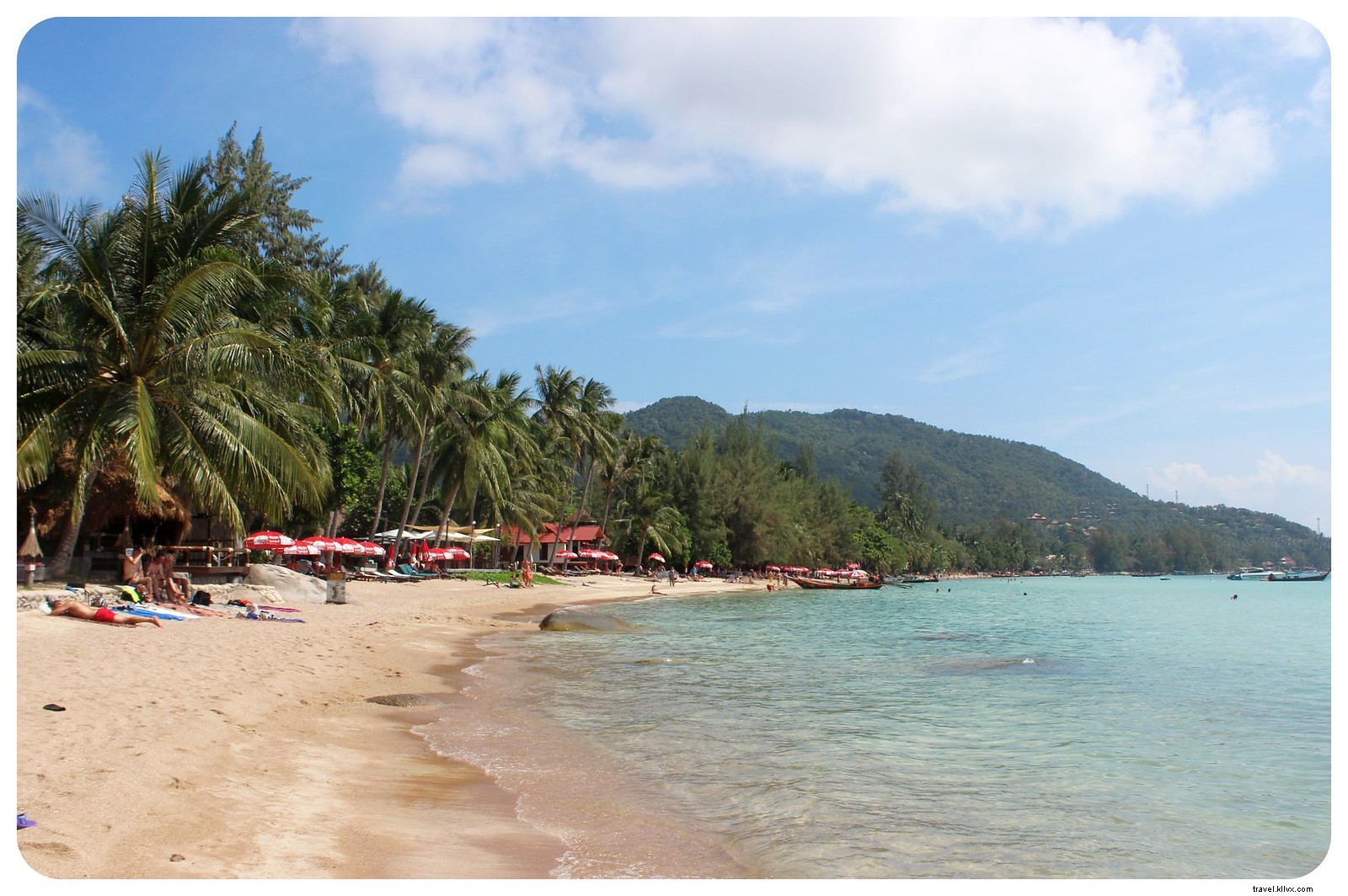 Koh Tao Guide: Pristine Beaches, World-Class Snorkeling & Diving Paradise