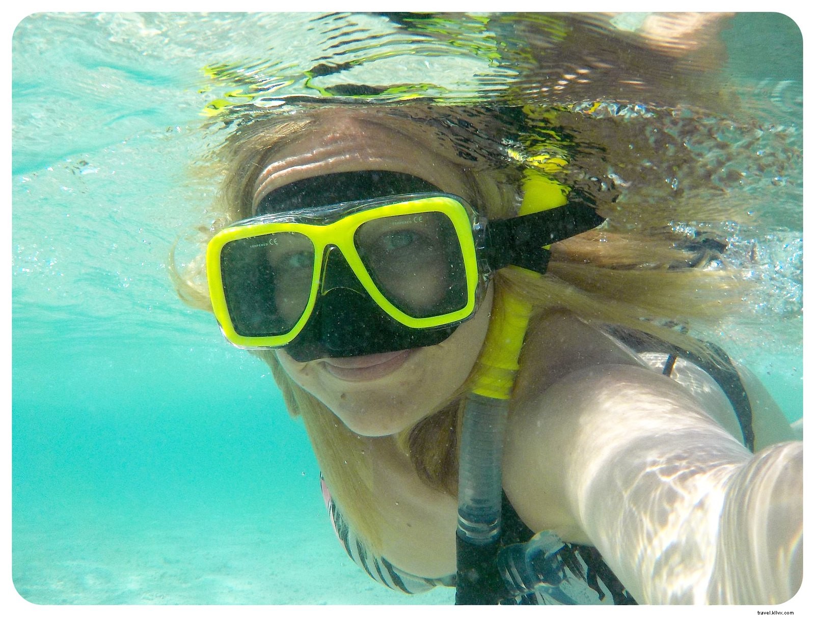 Koh Tao Guide: Pristine Beaches, World-Class Snorkeling & Diving Paradise