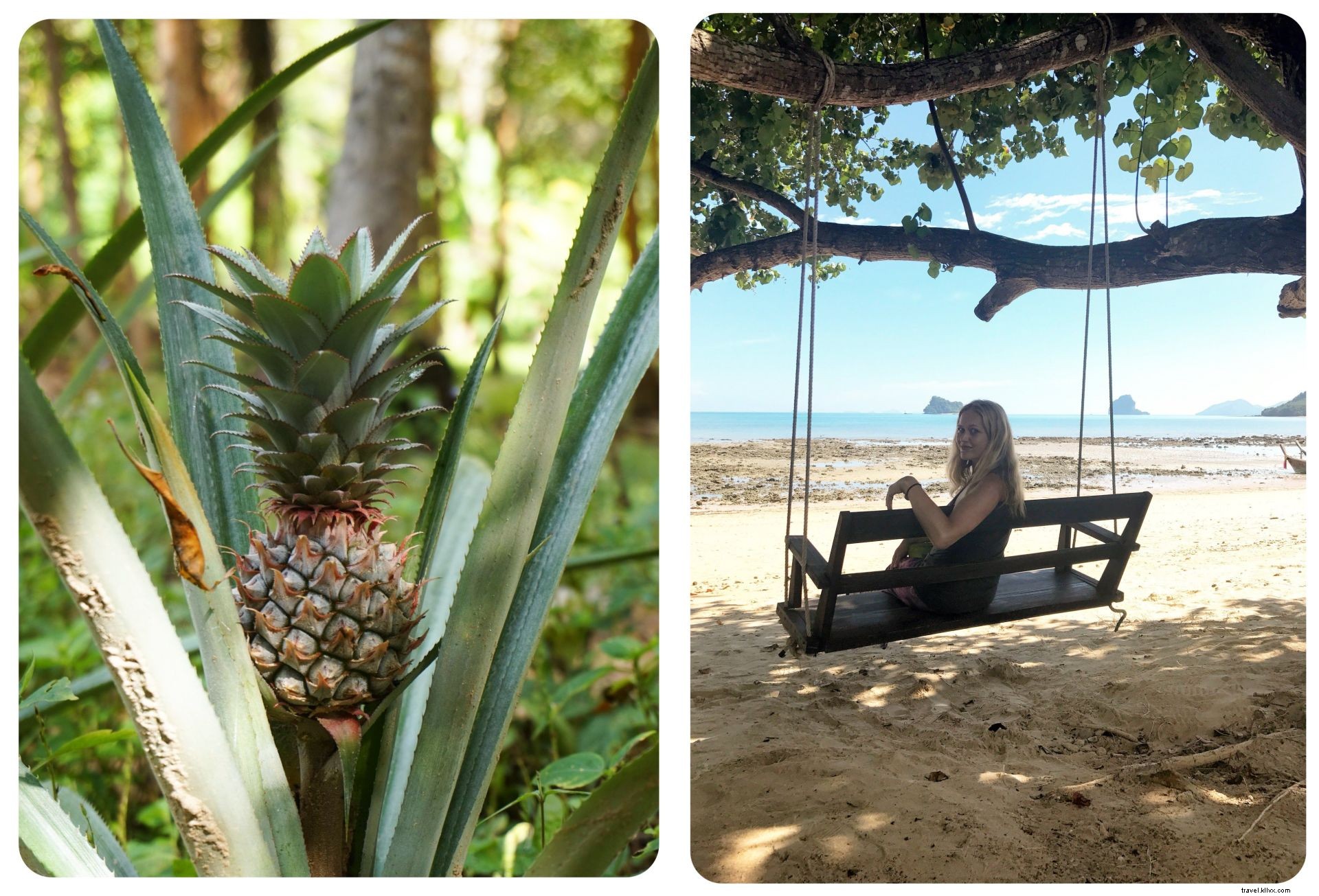 Koh Yao Yai vs. Koh Yao Noi: Serene Thai Island Escapes in Phang Nga Bay