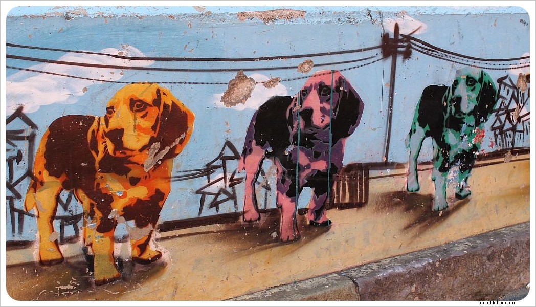 Valparaíso: Chile s Vibrant Cultural Capital Bursting with Color and Street Art