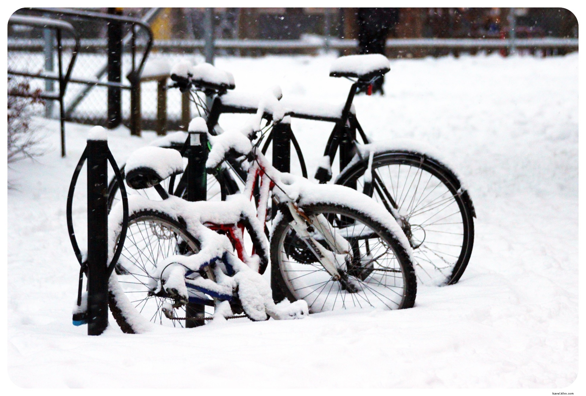 The Ultimate Winter Weekend in Stockholm: Itinerary, Museums, Fika & Insider Tips