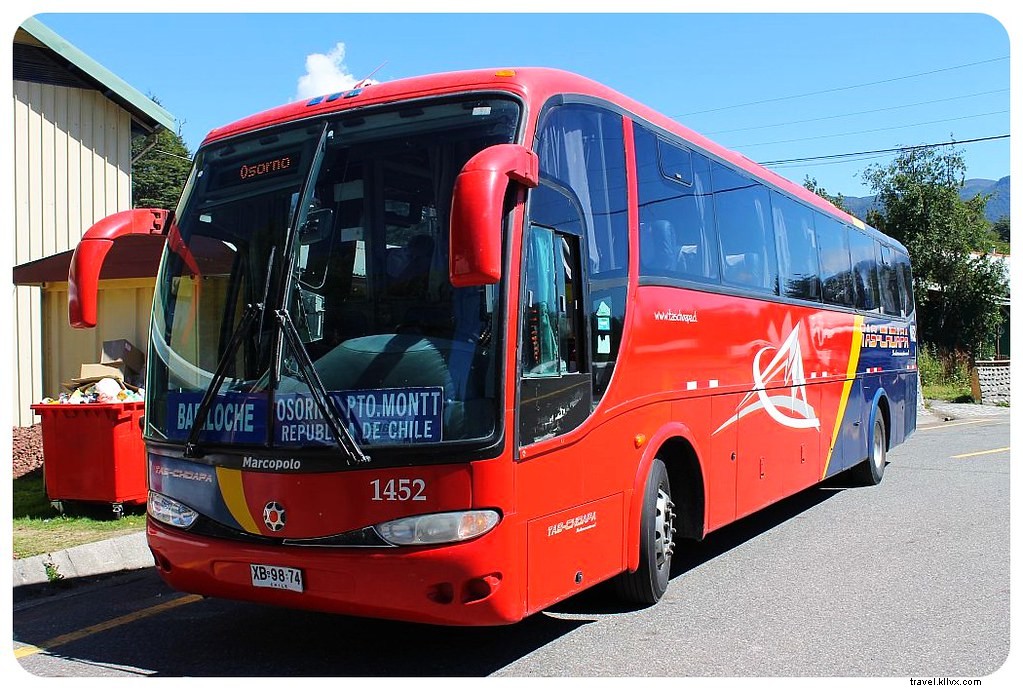 Argentina by Bus: Breathtaking Road Trip Scenes and Insider Travel Tips