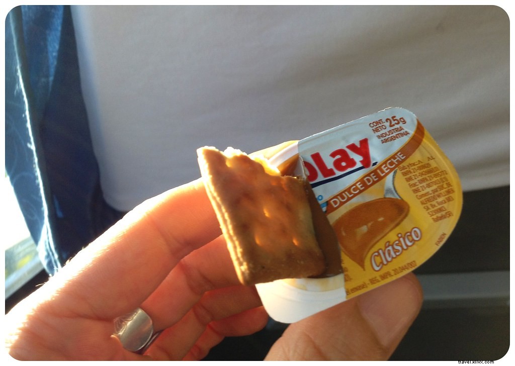 Argentina by Bus: Breathtaking Road Trip Scenes and Insider Travel Tips